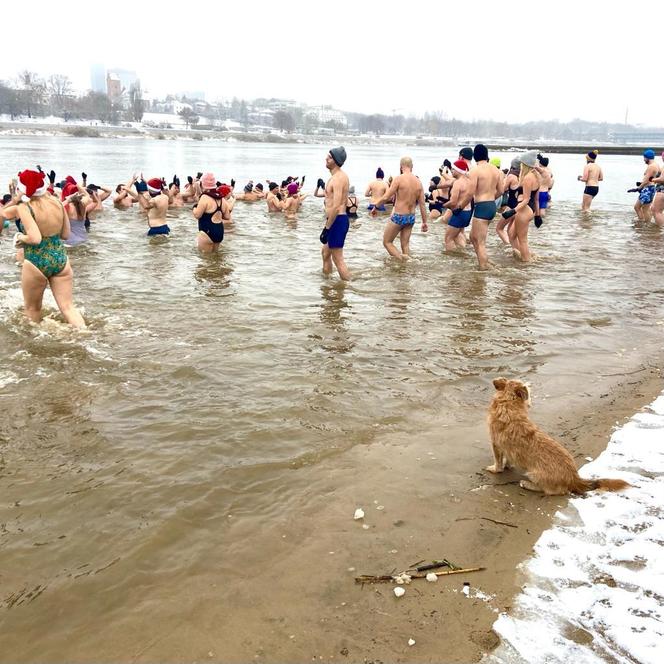 Warszawa morsuje! Gdzie i jak wchodzić do lodowatej wody? 