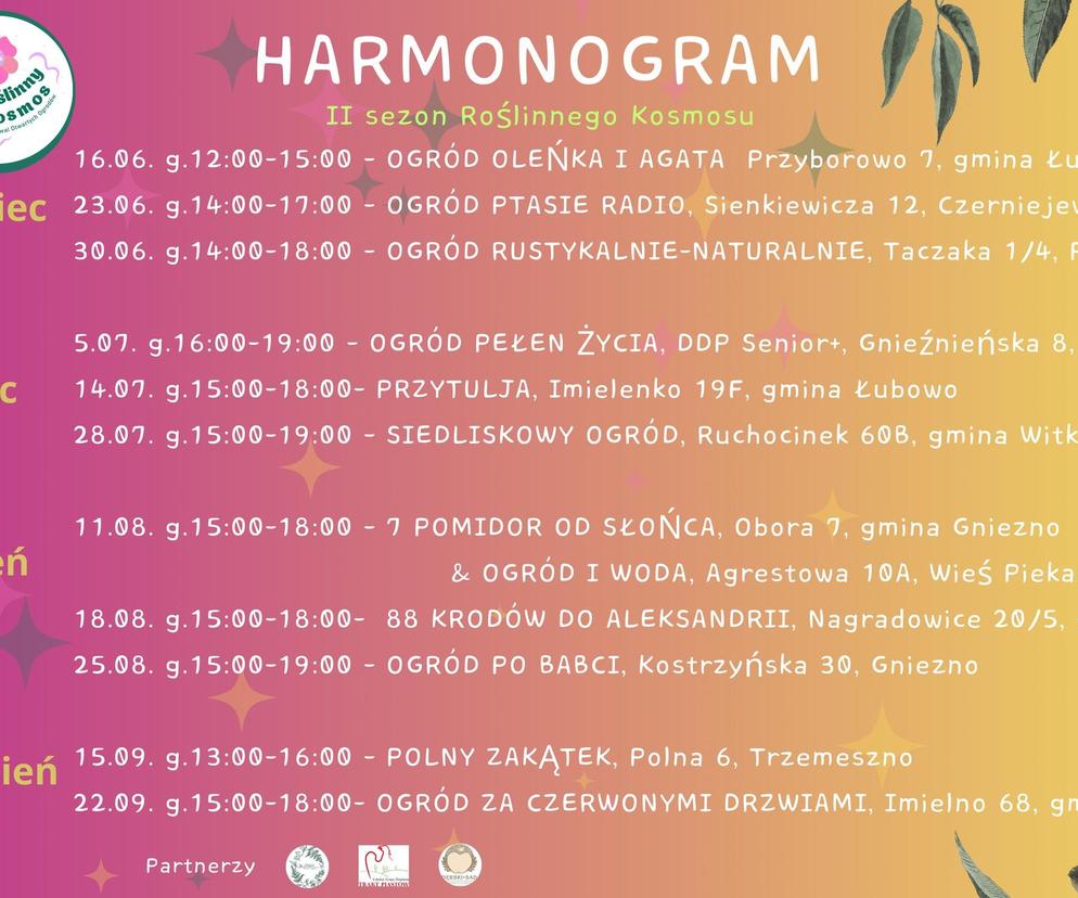 Roślinny Kosmos