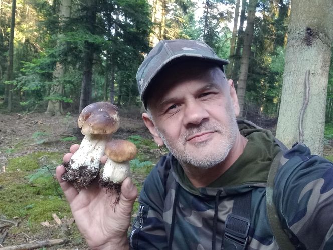 Taaaakie grzybobranie w Świetokrzyskiem. Królują borowiki szlachetne i ceglastopore