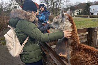 Żywa szopka Szczecin Żydowce 