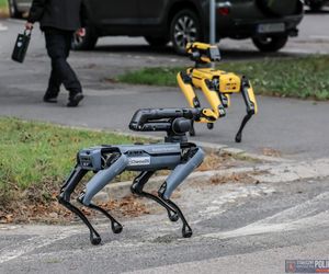 Robopies odwiedził i ćwiczył z warszawskimi policjantami