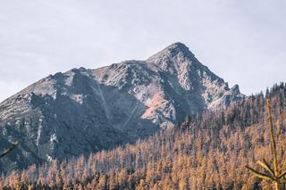 Gdzie wciąż można pojeździć na nartach w Tatrach? Śnieg topnieje w oczach, ale wciąż można poszusować na Podhalu
