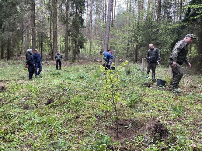 Olsztynek. Odsłonięto zbiorowe mogiły sprzed 100 lat. "Nikt się tego nie spodziewał"