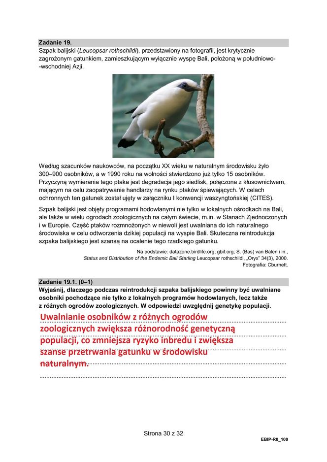 Matura 2025 biologia rozszerzona: ODPOWIEDZI do wszystkich zadań, gotowe rozwiązania matury z biologii rozszerzonej - Formuła 2015 [9.05.2025]	
