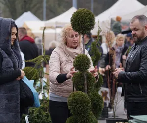 Wiosenny Kiermasz Ogrodniczy przy bydgoskim Torbydzie [ZDJĘCIA, WIDEO]