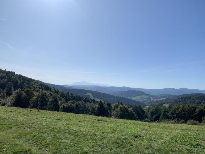 Bacówka Nad Wierchomlą w Beskidzie Sądeckim. To prawdziwy turystyczny hit!