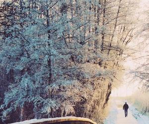 Sprawdź, kiedy we Wrocławiu spadnie śnieg