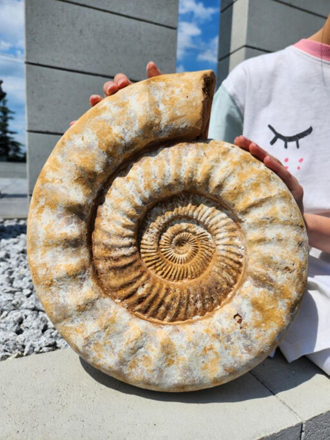 Mineral Expo w Pałacu Kultury ze szkieletem ichtiozaura