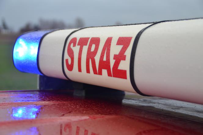 Tragedia w garażu. Najpierw wybuchł pożar, potem FAJERWERKI. 30-latek w szpitalu