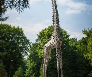 Park Praski wyremontowany. Zobacz, jak się zmienił