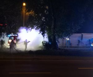 Potworny wypadek w Płocku. Wypadli z drogi, uderzyli w drzewo. Dwoje ludzi spłonęło w samochodzie	