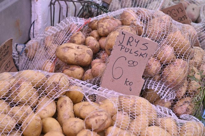  Ceny nowalijek na warszawskich bazarach szokują. Byliśmy i sprawdziliśmy ile trzeba zapłacić