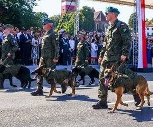 Defilada Wojska Polskiego bez psów. Upały pokrzyżowały plany. Znamy szczegóły