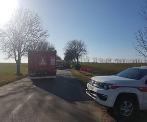 Tragedia na drodze pod Nysą. Samochód wjechał w drzewo. Nie żyją cztery osoby