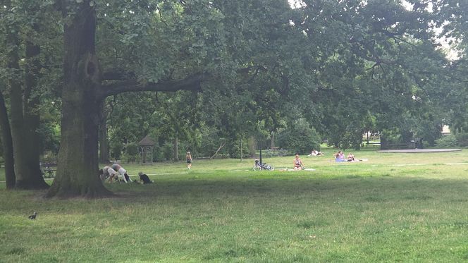 Spacer przez muzyczne serce Bydgoszczy. Park Kochanowskiego zachwyca historią i klimatem