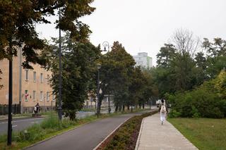 Będzie nowy park w Warszawie! Drogowcy posadzą 170 nowych drzew