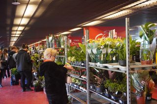 Festiwal Roślin 2025 w Białymstoku