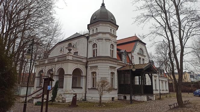 Muzeum Przyrody w Olsztynie. Poznajcie faunę oraz florę Warmii i Mazur