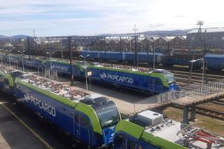 Nowy Sącz. Nowoczesne lokomotywy dla PKP Cargo [ZDJĘCIA]