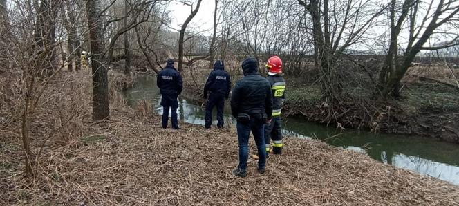 Tajemnicze zaginięcie 73 letniej Krystyny z Łowiec