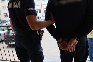 Zastrzelił przebiegającego przez posesję kota sąsiadki, bo bał się o swoje zwierzęta