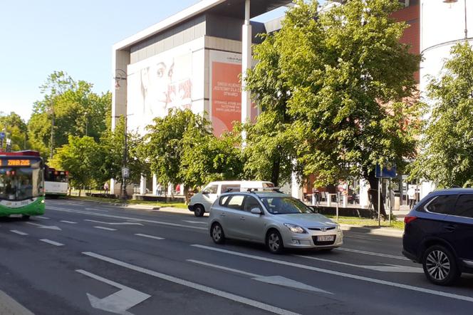 Mieszkańcy Lublina walczą dalej. Będzie kolejny protest ws. drzew na Lipowej [ROZMOWA]