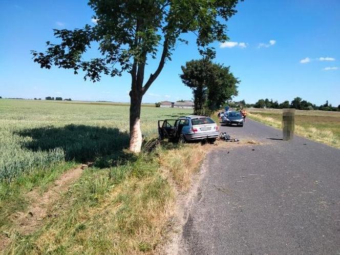 Nie żyje pasażer bmw, a kierowca walczy o życie! Auto roztrzaskało się o drzewo pod Działdowem [ZDJĘCIA]