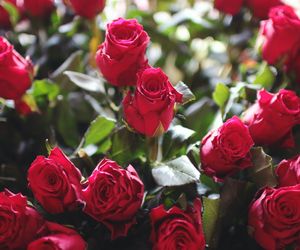 Życzenia imieninowe dla Alana. Wyślij mu życzenia pełne zdrowia i pomyślności