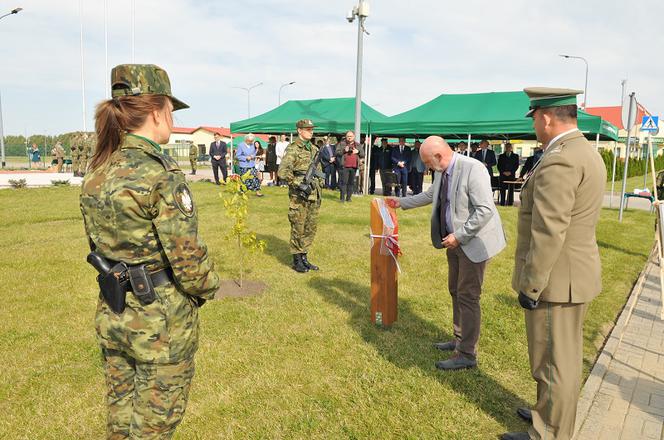 Dęby dla upamiętnienia ofiar Zbrodni Katyńskiej