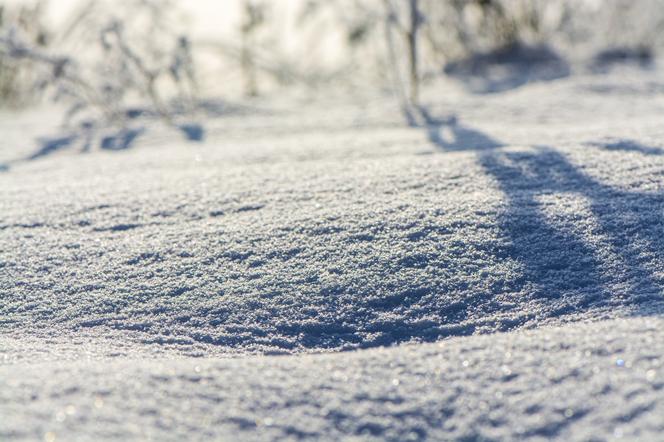 Kiedy spadnie pierwszy śnieg w Polsce? Ekspertka przedstawia wymowną prognozę