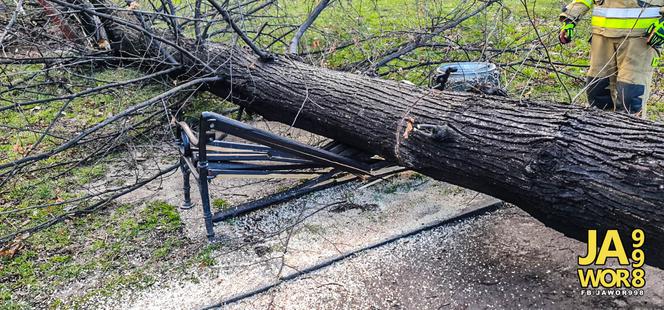 Wichura na Dolnym Śląsku. Uszkodzone dachy, powalone drzewa. Ponad 300 interwencji straży