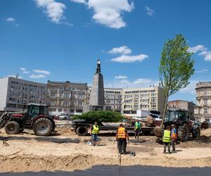 Plac Wolności w Łodzi się zazielenia