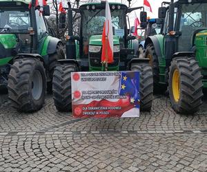  Hasła z protestu rolników we Wrocławiu. Głód poczujesz, rolnika uszanujesz!