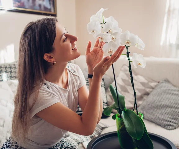 Florystka pokazała mi sposób na zmobilizowanie storczyka do kwitnienia. Latem raz w tygodniu zabieram kwiat do domowego SPA. Rozrósł się i kwitnie, aż uginają się pędy