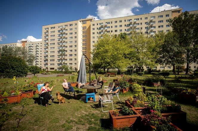 Finał 40. edycji konkursu „Warszawa w kwiatach”. I miejsce w kategorii  Inicjatywy sąsiedzkie: Ogród społeczny Zielone Piaski na Bielanach