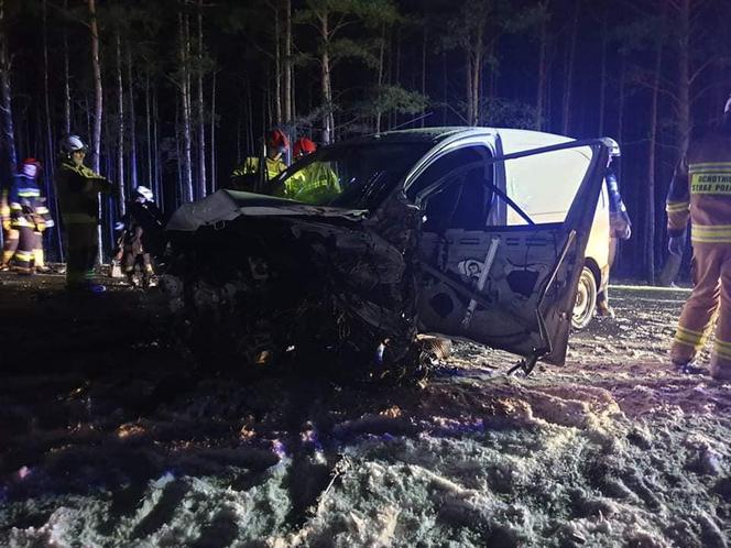 Wypadek na DK 10 w pod Bydgoszczą! Jedna osoba poszkodowana [ZDJĘCIA]