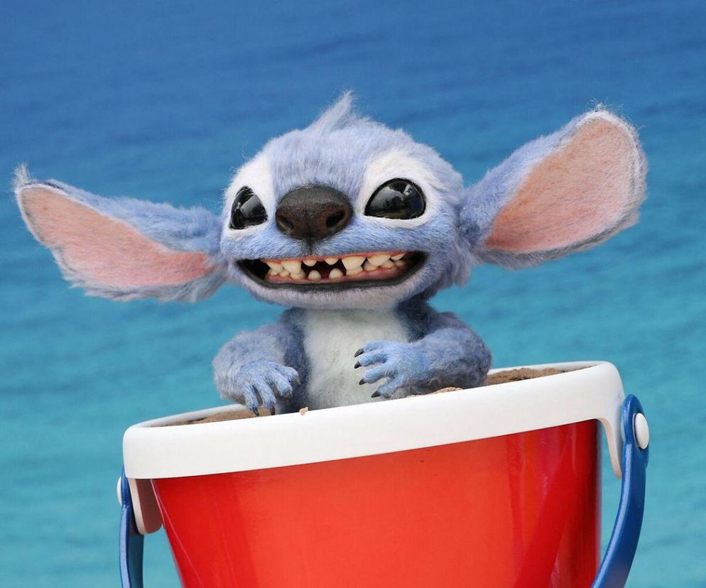Kolekcja ze Stitch przejęła Pepco. Ceny? Totalny kosmos! Zakocha się w nim nie tylko twoje dziecko!