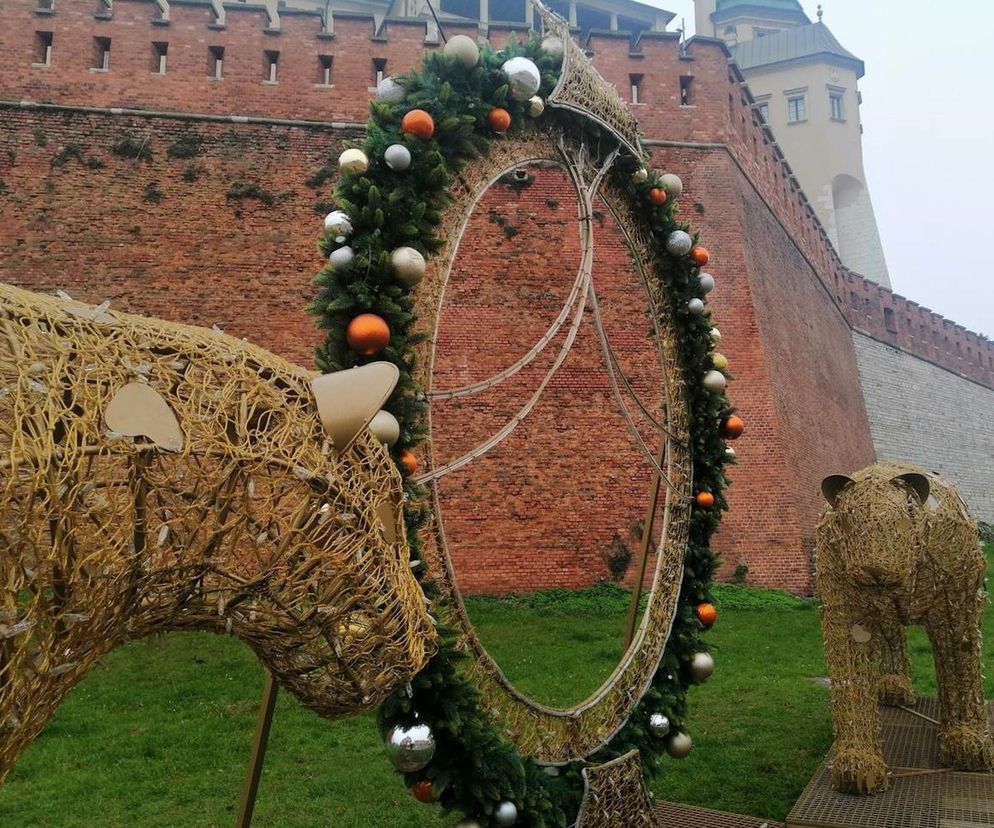 Dekoracje świąteczne Kraków