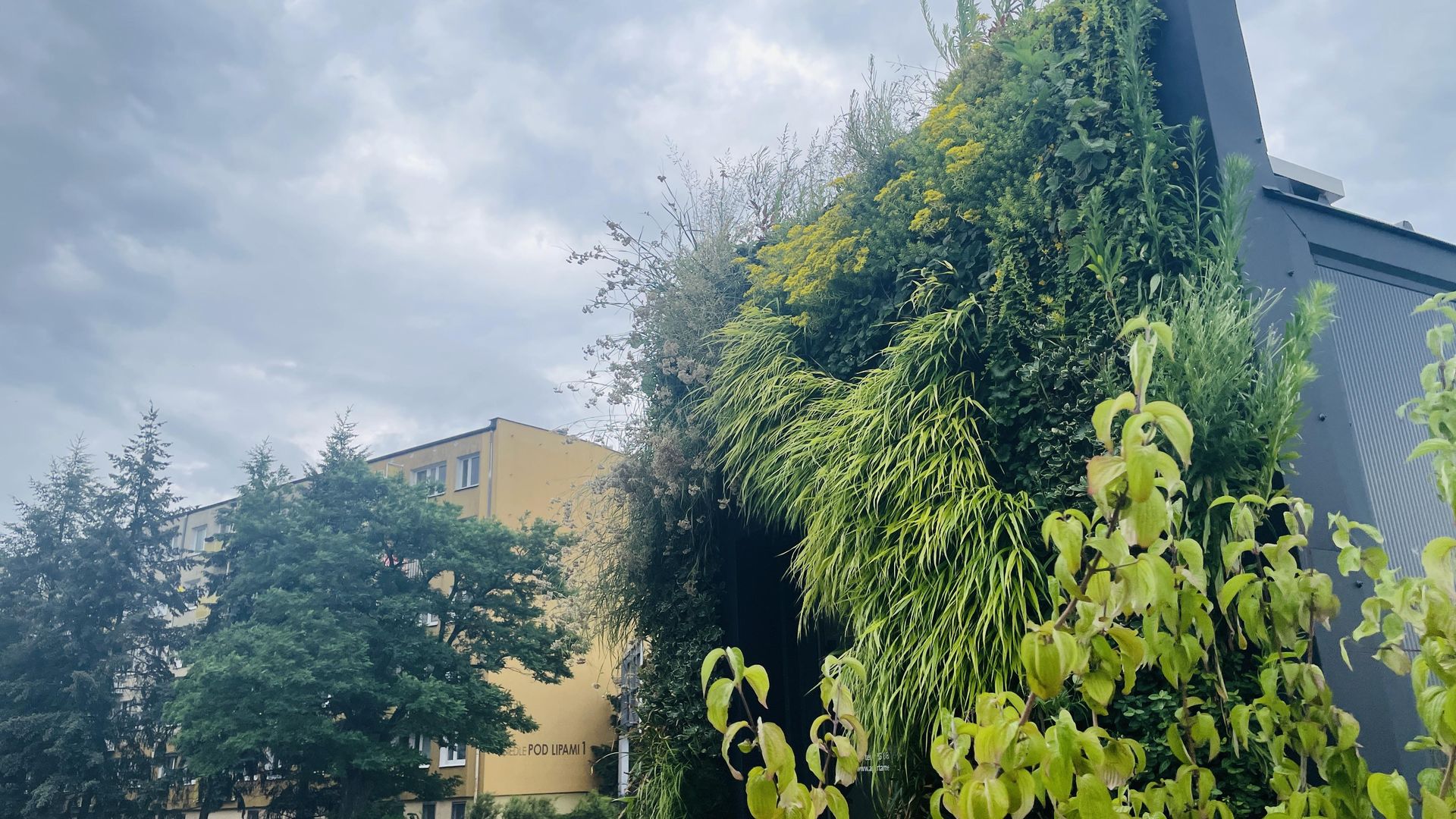 Aura w Poznaniu - aparthotel i zielona fasada