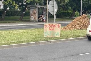 Protest mieszkańców przeciwko wycince drzew pod budowę linii tramwajowej do Mistrzejowic.