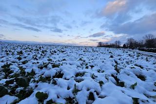 Zima przyszła na Podkarpacie w listopadzie