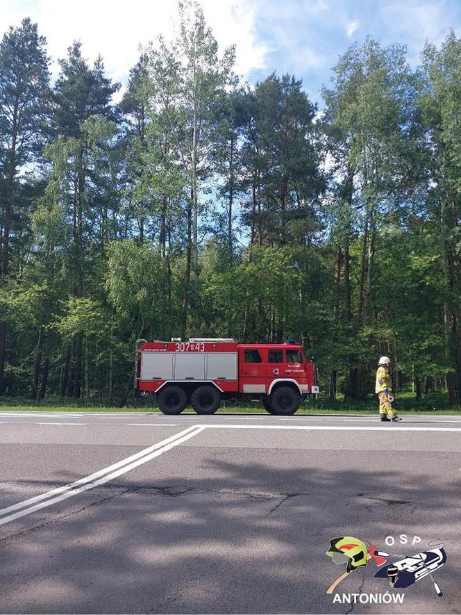 Tragiczny wypadek na DK46 w Ozimku