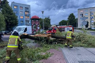 Powalone drzewa, zalania, wstrzymany ruch tramwajów: dramatyczny bilans orkanu nad Śląskiem