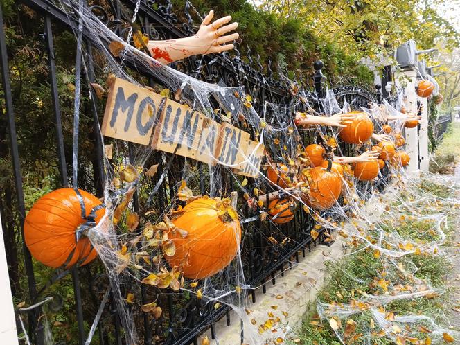 Willa na Jaśkowej Dolinie znów ozdobiona. Tym razem przechodniów zaskakują halloweenowe straszydła!