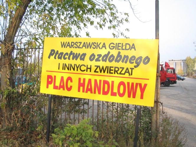 giełda ptactwa ozdobnego na Żeraniu