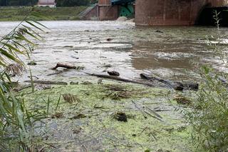 Jak wygląda sytuacja we Wrocławiu? Mieszkańcy wykupują wodę ze sklepów. Zaczyna brakować produktów