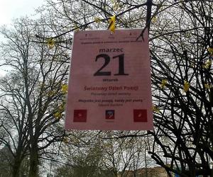 Światowy Dzień Poezji w Szczecinie