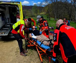 Turysta ukąszony przez żmiję.