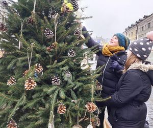  Zamojskie przedszkola i szkoły dekorowały choinki