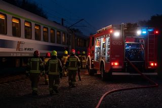 Pociąg PKP Intercity wjechał w stado krów. Jedno zwierzę nie przeżyło